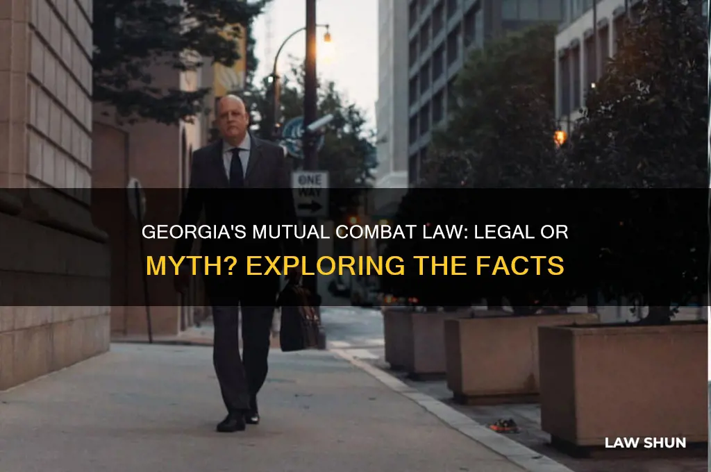does georgia have a mutual combat law