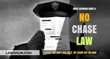 Georgia's No-Chase Law: Understanding Police Pursuit Policies and Limits
