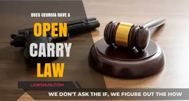 Georgia's Open Carry Law: What You Need to Know
