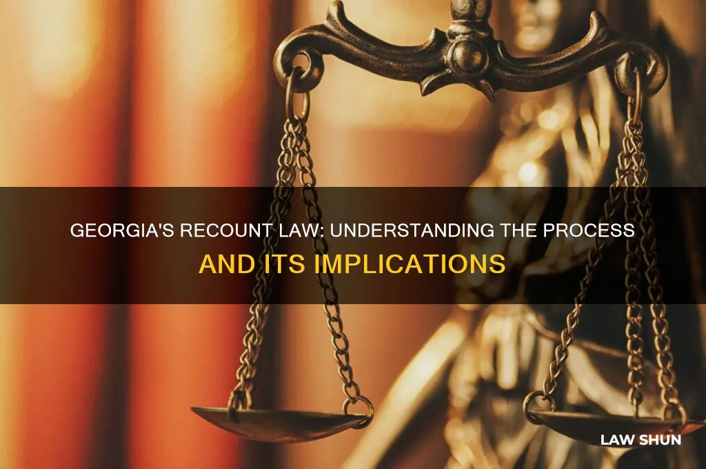 does georgia have a recount law