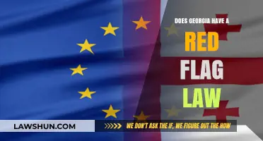 Georgia's Red Flag Law: Understanding Its Impact and Implementation