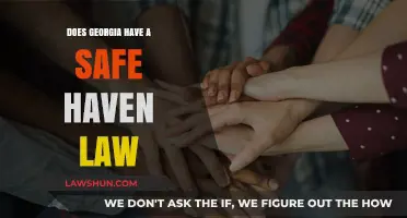 Georgia's Safe Haven Law: Protecting Infants and Families in Crisis