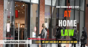 Georgia's Stay-at-Home Law: Understanding the State's COVID-19 Restrictions