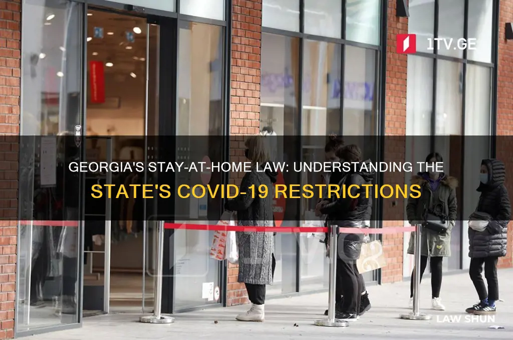 does georgia have a stay at home law