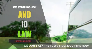 Georgia's Stop and ID Law: What You Need to Know