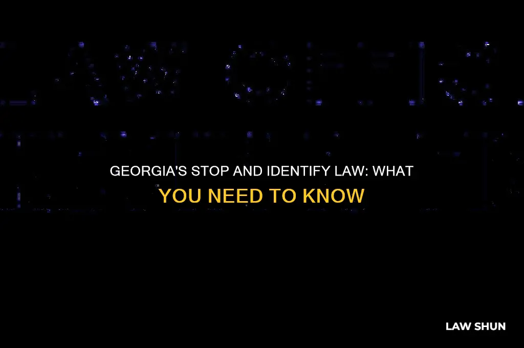 does georgia have a stop and identify law