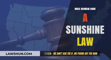 Georgia's Sunshine Law: Understanding Public Records Access Rights