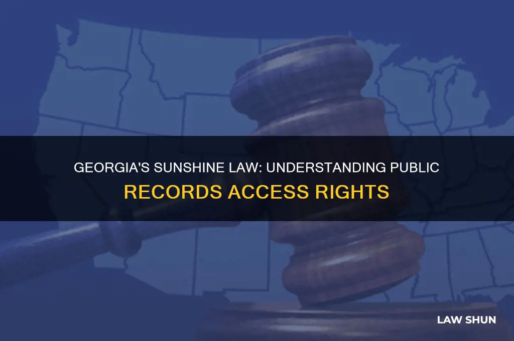 does georgia have a sunshine law