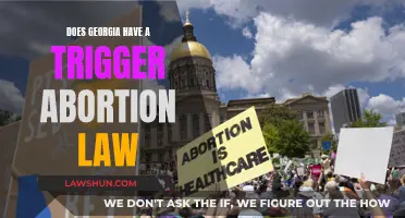 Georgia's Abortion Law: Triggering a New Wave of Restrictions?