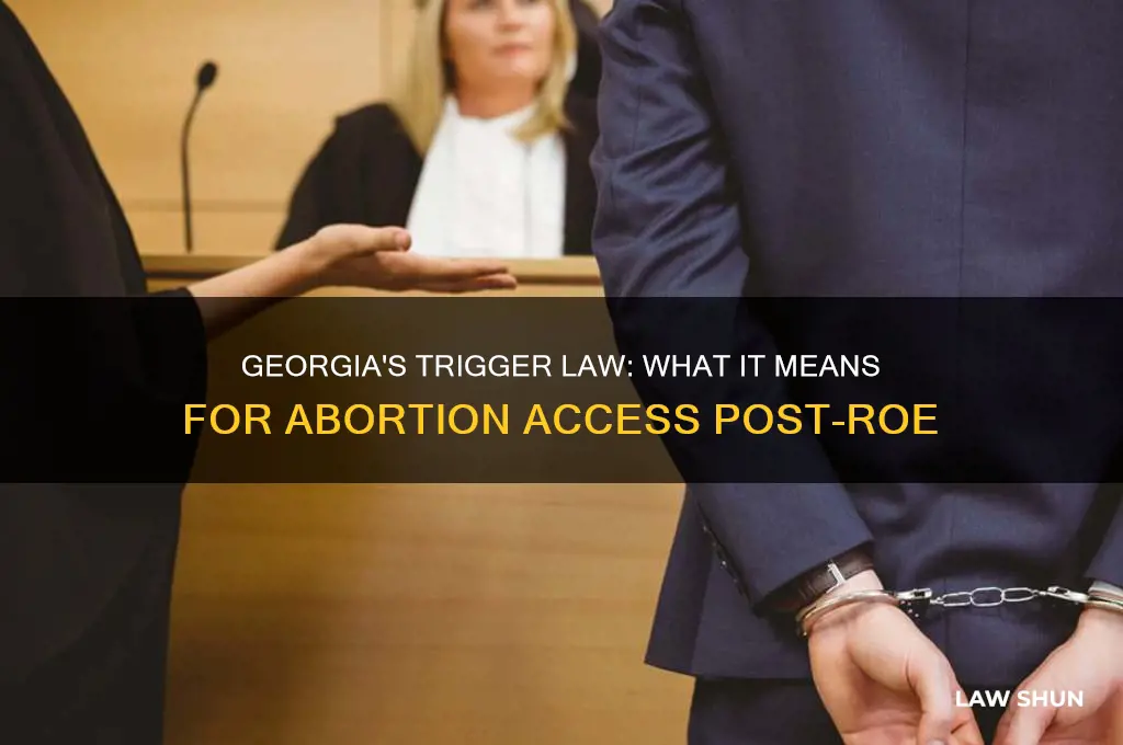 does georgia have a trigger law