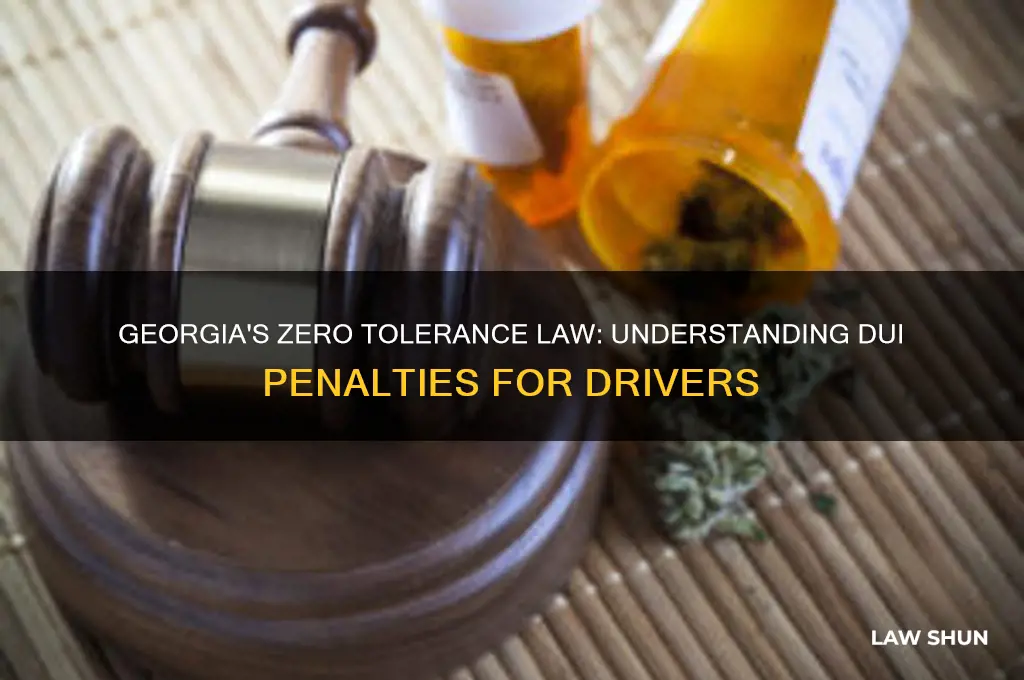 does georgia have a zero tolerance law