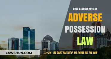 Georgia's Adverse Possession Law: Understanding Squatter's Rights and Legal Claims