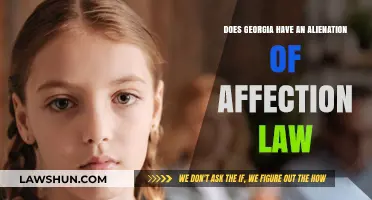 Georgia's Alienation of Affection Law: Does It Exist and Apply?