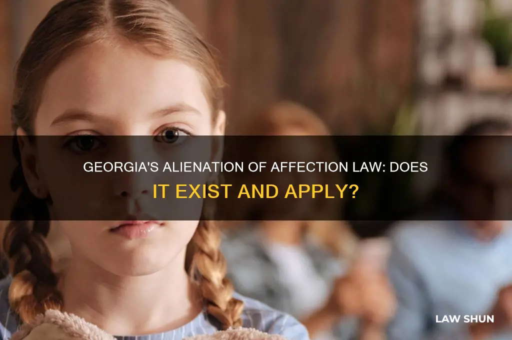 does georgia have an alienation of affection law