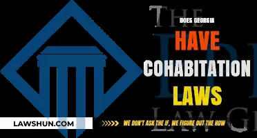 Georgia Cohabitation Laws: Understanding Unmarried Couples' Legal Rights