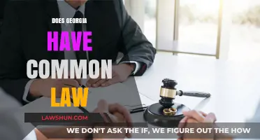 Georgia's Common Law: What's the Deal?