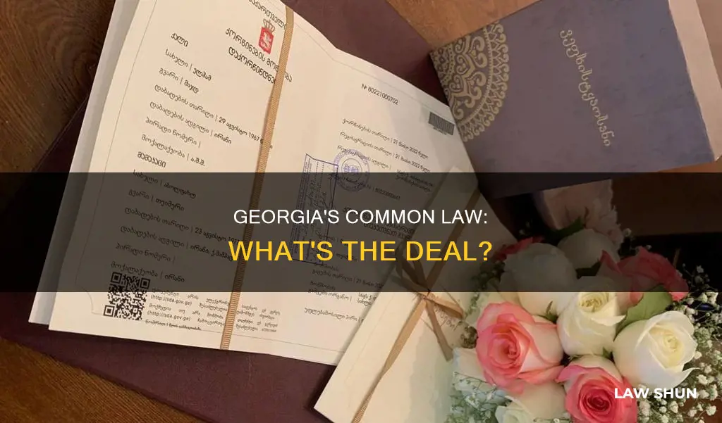 does georgia have common law