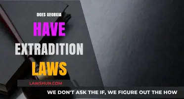 Georgia's Extradition Laws: Understanding Interstate and International Legal Processes