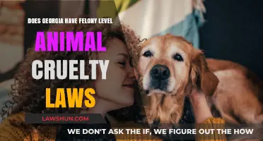 Georgia's Animal Cruelty Laws: Are Felony Charges Possible?