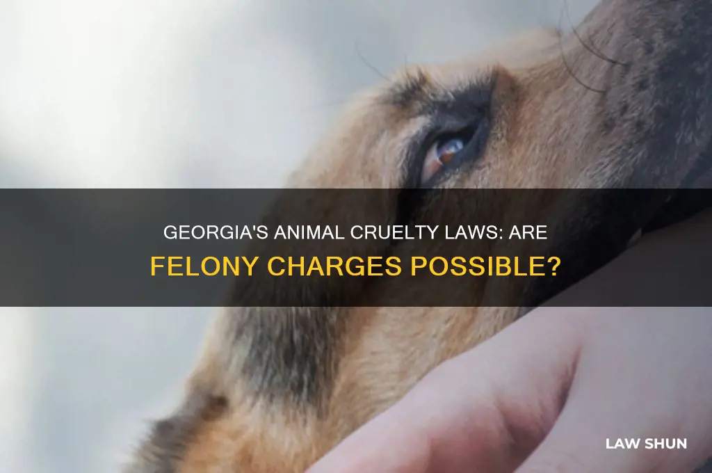 does georgia have felony level animal cruelty laws