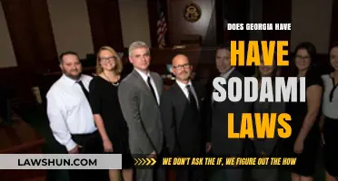 Understanding Georgia's Sodomy Laws: Current Status and Legal Implications