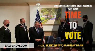 Georgia Voting Rights: Employee Time Off for Elections Explained