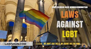Georgia's LGBT Protections: Examining Non-Discrimination Laws and Gaps