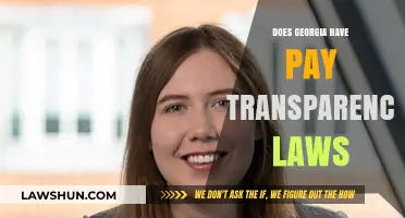 Georgia's Pay Transparency Laws: What Employers and Employees Need to Know