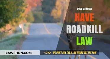 Georgia's Roadkill Laws: What You Need to Know