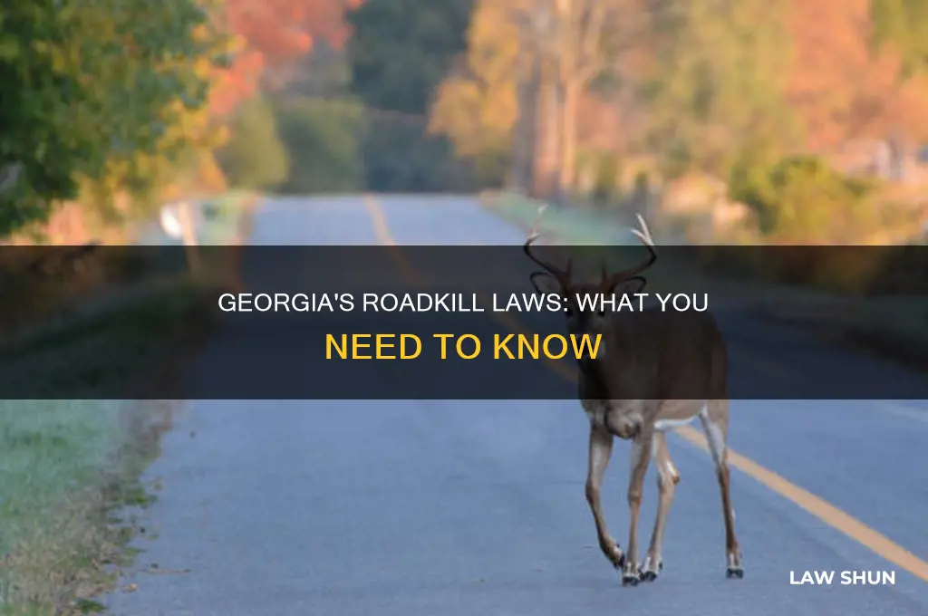 does georgia have roadkill law