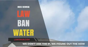 Georgia Law and Water Restrictions: Understanding the Legal Landscape
