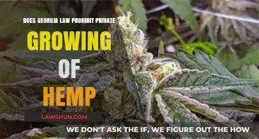 Georgia Hemp Laws: Can You Legally Grow Hemp at Home?