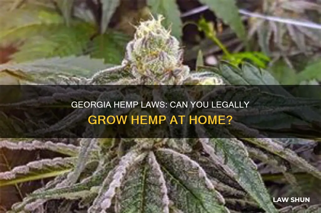 does georgia law prohibit private growing of hemp