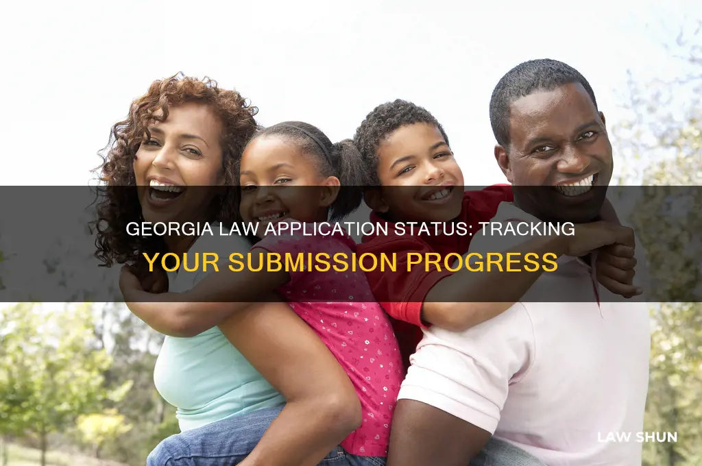 does georgia law provide an application status