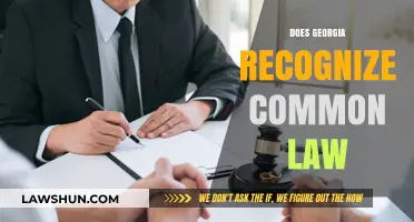 Georgia's Common Law Recognition: What's the Verdict?