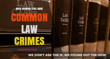 Georgia's Common Law Crimes: Are They Still Relevant?
