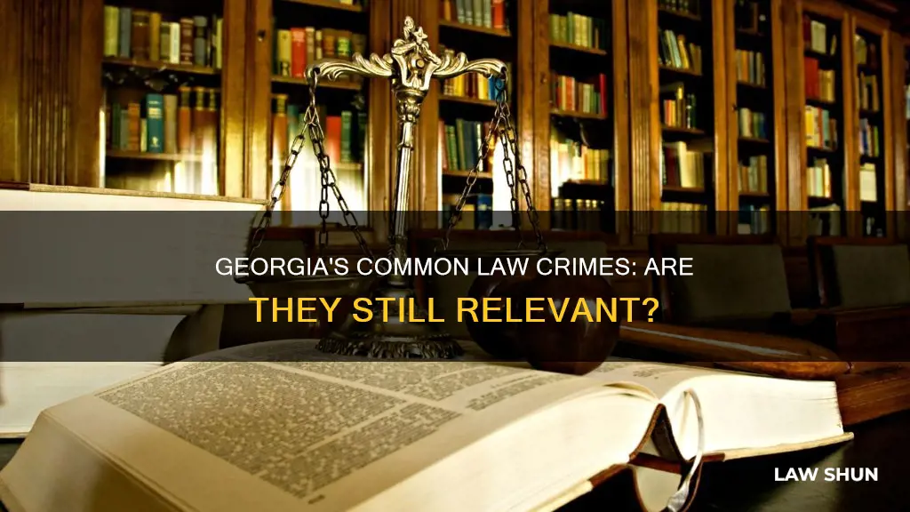 does georgia still have common law crimes
