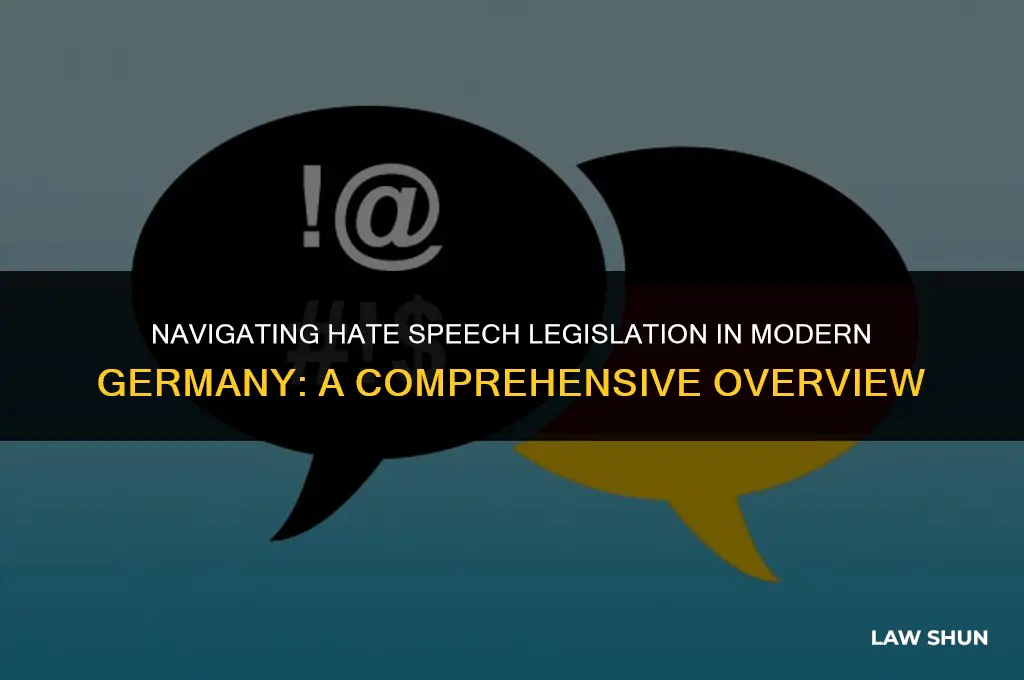 does germany have hate speech laws