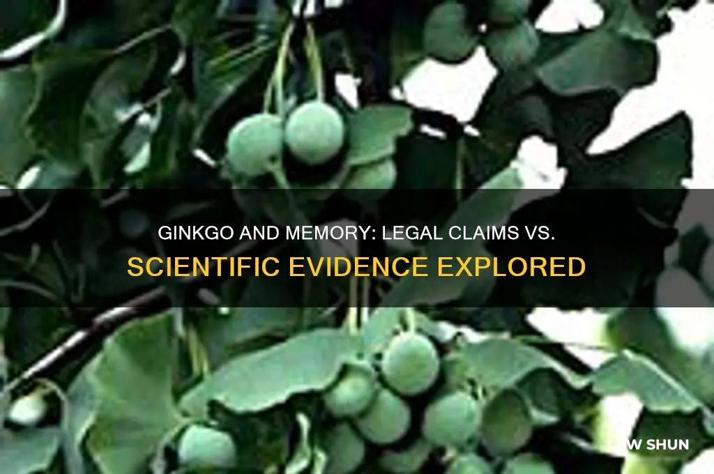 does ginkgo improve memory the law allows marketers of herbs