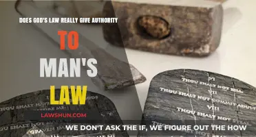 Divine vs. Human Law: Does God's Authority Validate Man's Legal Systems?