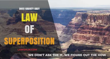 Unraveling Gravity's Mysteries: Does It Follow the Law of Superposition?
