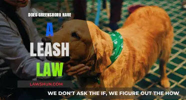 Exploring Greensboro's Leash Laws: A Guide for Dog Owners