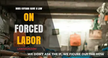 Guyana's Legal Stance on Forced Labor: Exploring the Legislation