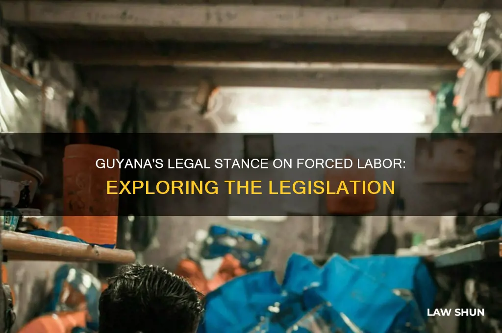 does guyana have a law on forced labor
