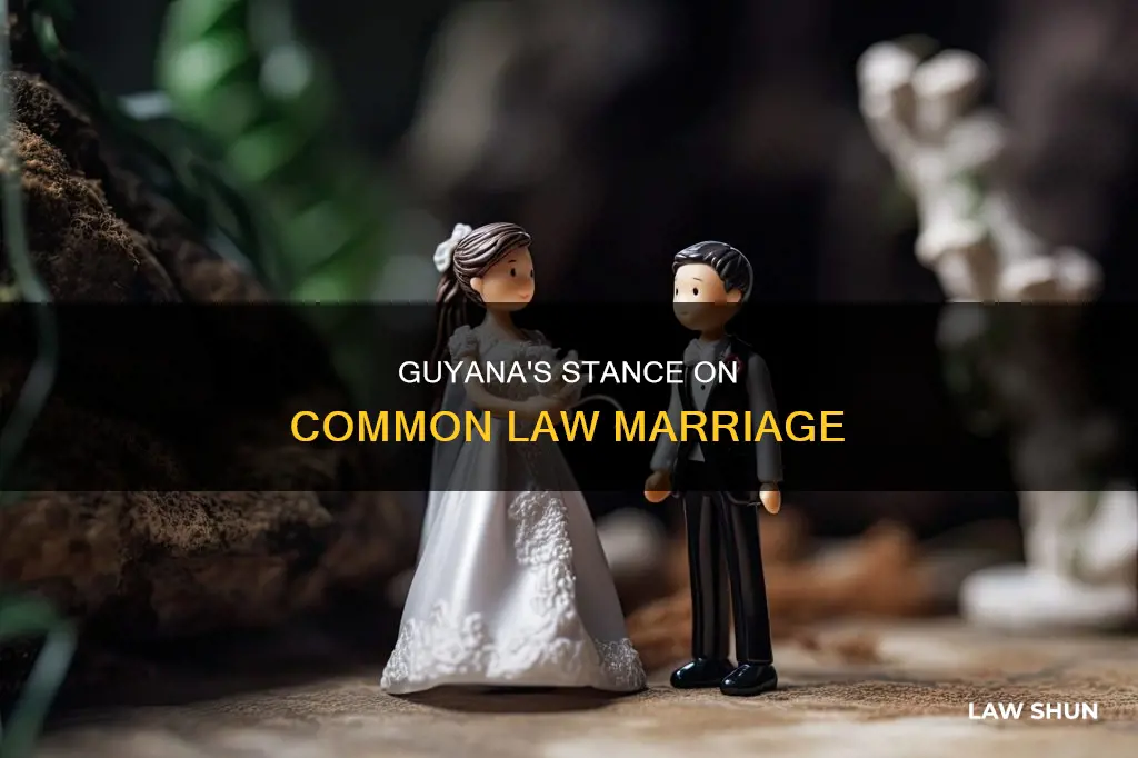 does guyana recognize common law marriage