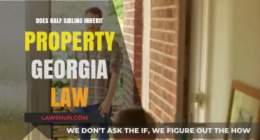 Georgia Inheritance Laws: Do Half-Siblings Inherit Property Without a Will?