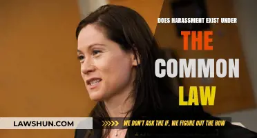 Harassment: Common Law and Modern Workplace Issues