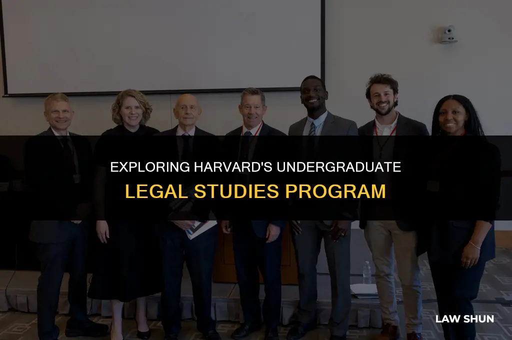 does harvard have a law major
