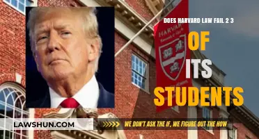 Harvard Law's Hidden Reality: Failing Two-Thirds of Students?