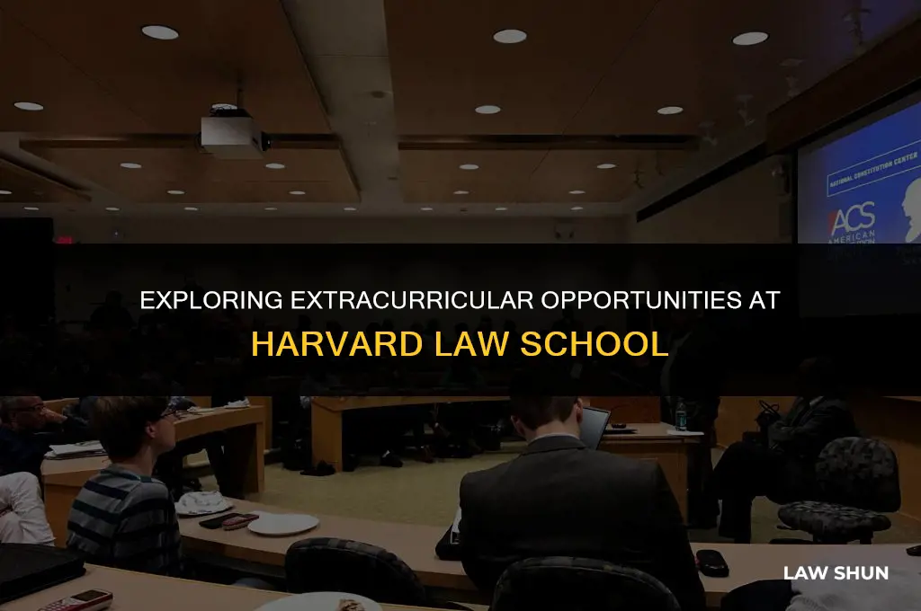 does harvard law shoolhave any clubs